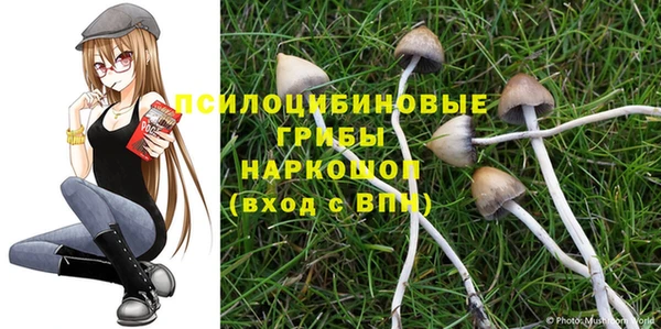 дурь Абинск