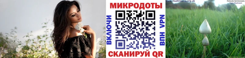 купить  цена  Павловский Посад  Галлюциногенные грибы Magic Shrooms 