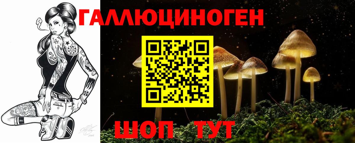 Канабис Павловский Посад