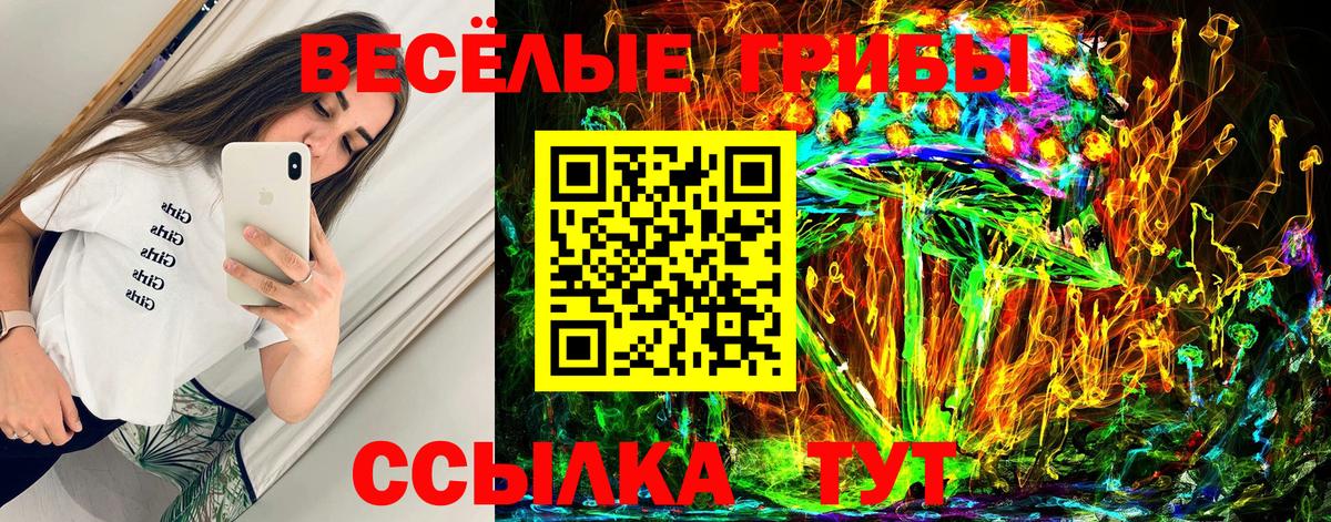 наркотики  Вход с VPN  Павловский Посад  Галлюциногенные грибы ЛСД 